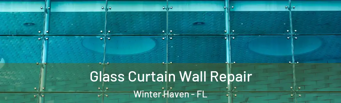 Glass Curtain Wall Repair Winter Haven - FL