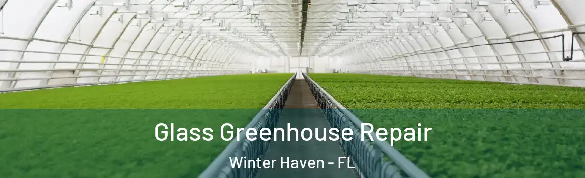 Glass Greenhouse Repair Winter Haven - FL